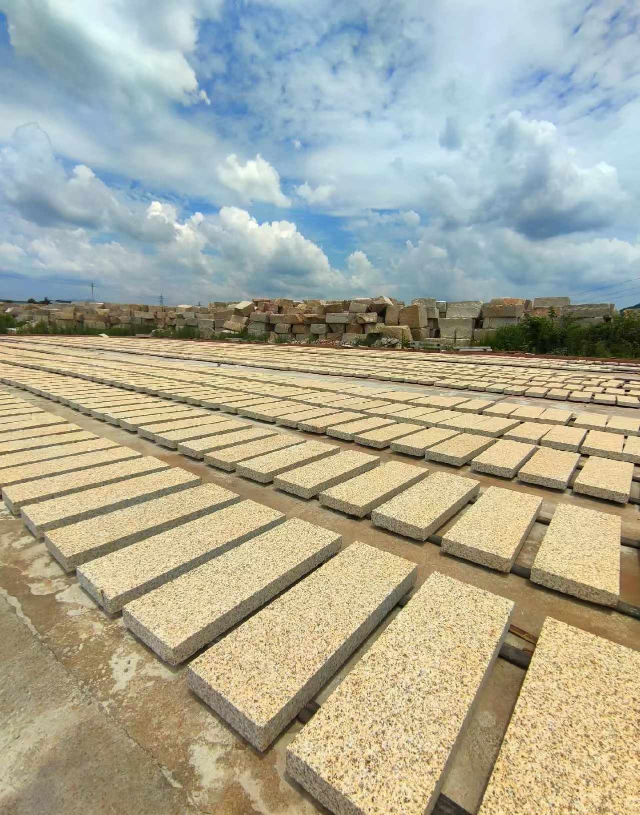 哈尔滨 黄金麻荔枝面花岗岩石材地铺石防护中