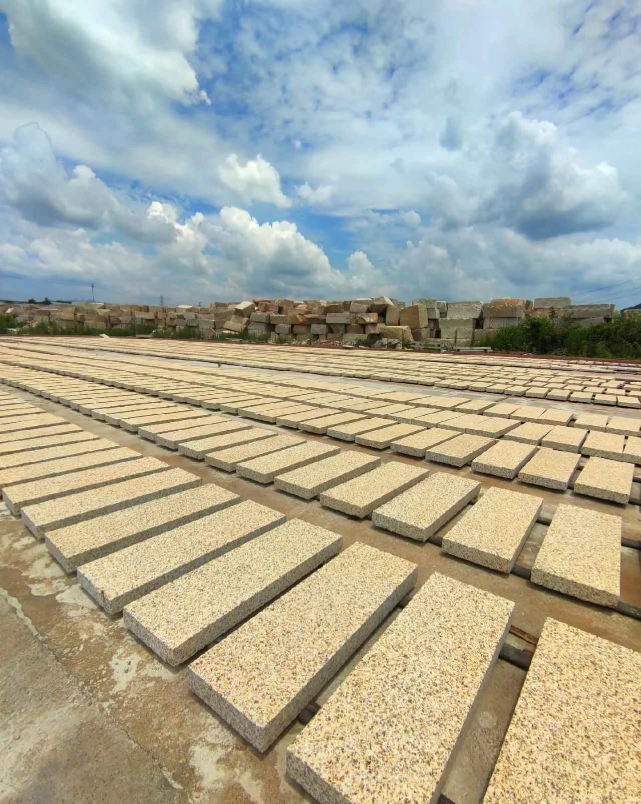 哈尔滨 黄金麻花岗岩荔枝面地铺石防护中